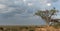 Landscape on the Chobe River in Botswana