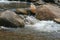 Landscape of clear stream and rocks