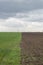 Landscape climate change. The field is half green and plowed, against the backdrop of a cloudy sky