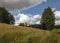 Landscape with clouds, forest in the background and meadows in the foreground