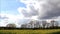 Landscape clouds trees and yellow field in April, Raps