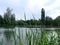 Landscape with cloudy sky, Cumulus clouds, green forest and lake with reflections in the water with willows and reeds