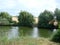 Landscape with cloudy sky, Cumulus clouds, green forest and lake with reflections in the water with willows and reeds