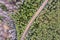 Landscape in cloudy spring day with spring forest and dirt road. aerial view