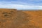 Landscape of coastal cliff at Petrified Forest Walk, Cape Bridge