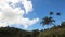 Landscape with coconut trees and mountains