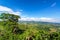 Landscape of Coffee