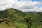 Landscape of coffee and banana plants in the coffee growing region near El Jardin, Antioquia, Colombia