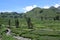 Landscape in the Colca Canyon, Peru