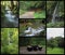 Landscape collage of Bad Urach with waterfall
