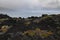 Landscape of colorful orange-green vegetation making a beautiful contrast with the black lava beach at the westcoast of Faial