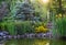 Landscape composition with yellow flowers and blue spruce