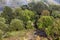 Landscape consisting of trees, valley and pathway