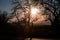 landscape with a contour of a tree in the sunset light