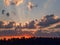 Landscape with contrasting sunrise, fuzzy, black tree silhouettes, hazy clouds, red sky