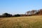 Landscape of a contryside field and forest trees, on a beautiful autumn day. Nature photography with a blue sky