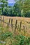 Landscape copyspace view of an empty and secluded farmland in the countryside with grass, trees, and greenery. Scenic