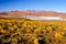 Landscape of Cordillera de Lipez with high mountains and Laguna Morejon, Andean Altiplano, Bolivia