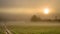 Landscape of Corn Farming Field and Sunrise in the Mist