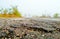 Landscape country field, defect road, close-up bad asphalt,colours stone.