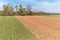 Landscape in the countryside in the Czech Republic. Agricultural landscape in spring. Sunny spring day in the countryside
