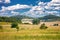 Landscape of countryside with hills, meadows hunter, tower and a nice cloudscape