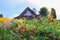 Landscape in countryside with old wooden cowshed building and bright wildflowers in bright warm summer day.