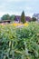 Landscape in countryside with old wooden rural house building and bright wildflowers in bright warm summer day.