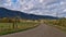 Landscape with cows on green meadows, gravel road and farmhouse at the foot of Rocky Mountains near McBride, Canada.