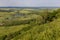 Landscape with cows, lake, forest. View from the mountain Toratau