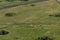 Landscape with cows, lake, forest. View from the mountain Toratau