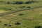 Landscape with cows, lake, forest. View from the mountain Toratau