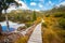 Landscape of Cradle mountain Tasmania, Australia