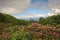 Landscape Craggy Gardens Overlook BRP NC