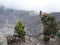 Landscape of crater mountain Tangkuban Perahu