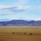 Landscape of crater ngoro ngoro in tanzania