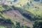 Landscape crop scene of vegetable farm garden near natural hills