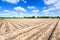 Landscape of a cultivated farmers field on a sunny day