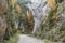 Landscape of a curved mountain road with steep wall and varicolored trees in autumn day, Romania