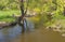 Landscape with cyclist resting with white dog after trip along Sura river