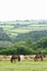 Landscape of Dartmoor National Park