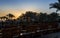 Landscape dawn sky palms and hotel in egypt