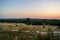 Landscape of the Dead Dune in Neringa, Lithuania