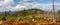 Landscape - dead and fallen trees and growing young living trees spruce, Bohemian Forest Sumava