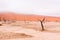 Landscape of Dead Vlei, Namibia