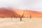 Landscape of Dead Vlei, Namibia