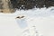 Landscape with deer from the air. Wild animals in Norway. Winter landscape during the sunset.