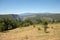 Landscape in the department of Vaucluse in Provence and the Mont Ventoux in the background.