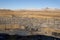 Landscape at derelict coal quarry