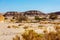 Landscape of the desert, dry riverbed